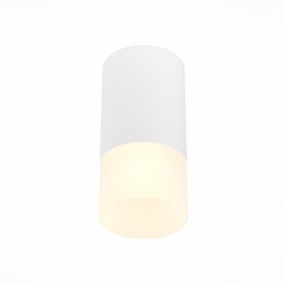 Потолочный светильник ST LUCE ST100.512.01