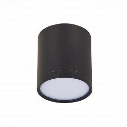 Потолочный светильник ST LUCE ST113.442.05