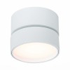 Потолочный светильник ST LUCE ST651.532.14