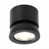 Потолочный светильник ST LUCE ST654.432.10