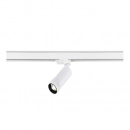 Светильник ST LUCE ST691.536.10