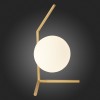 Светильник ST LUCE SL1148.314.01