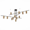 Светильник ST LUCE SL1206.402.12