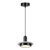 Светильник ST LUCE SL1212.403.01