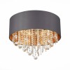 Светильник ST LUCE SL1350.702.06