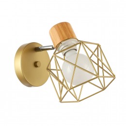 Светильник EVOLUCE SLE110401-01