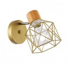 Светильник EVOLUCE SLE110401-01