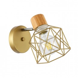 Светильник EVOLUCE SLE110401-01