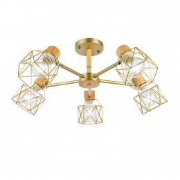 Светильник EVOLUCE SLE110402-05