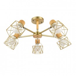 Светильник EVOLUCE SLE110402-05