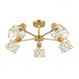 Светильник EVOLUCE SLE110402-05