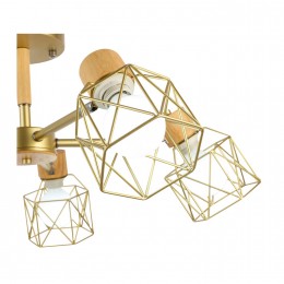 Светильник EVOLUCE SLE110402-05