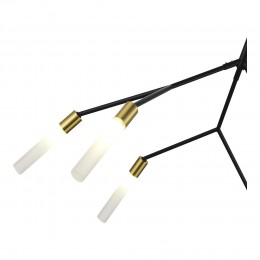 Светильник EVOLUCE SLE1129-403-06