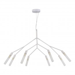Светильник EVOLUCE SLE1129-503-08