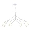 Светильник EVOLUCE SLE1129-503-08