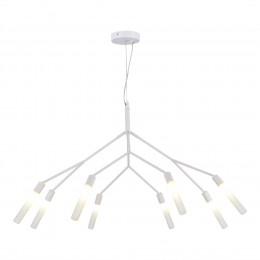 Светильник EVOLUCE SLE1129-503-08