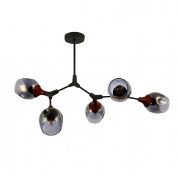 Светильник EVOLUCE SLE113402-05