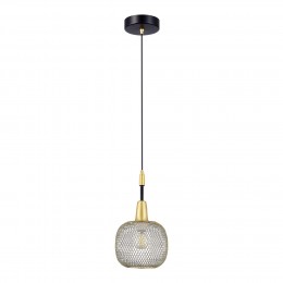 Светильник EVOLUCE SLE1137-403-01