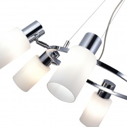 Светильник EVOLUCE SLE1139-103-06