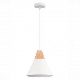 Светильник EVOLUCE SLE125103-01