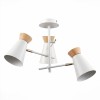 Светильник EVOLUCE SLE1252-502-03