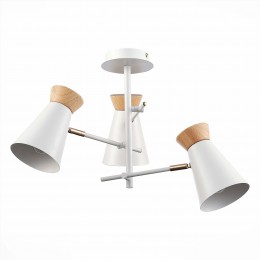 Светильник EVOLUCE SLE1252-502-03