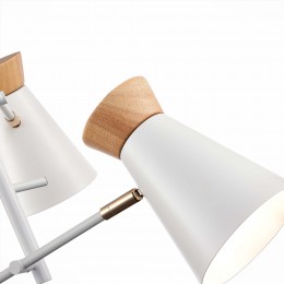 Светильник EVOLUCE SLE1252-502-03