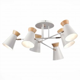 Светильник EVOLUCE SLE1252-502-06