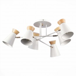 Светильник EVOLUCE SLE1252-502-06