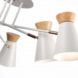 Светильник EVOLUCE SLE1252-502-06