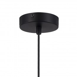 Светильник EVOLUCE SLE1257-453-01