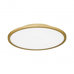 EVOLUCE SLE1811-202-01