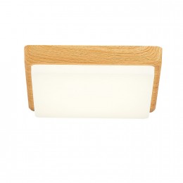 Светильник EVOLUCE SLE200202-01