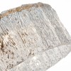 Светильник EVOLUCE SLE283203-06