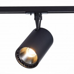 Трековый светильник ST LUCE ST351.446.20.36 