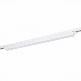 ST LUCE ST366.548.24.1