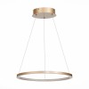 Светильник ST LUCE ST603.243.22