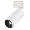 Светильник ST LUCE ST691.536.20