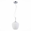 Светильник ST LUCE SL1168.103.01