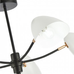 Светильник EVOLUCE SLE103602-05