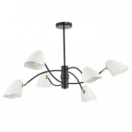 Светильник EVOLUCE SLE103602-06