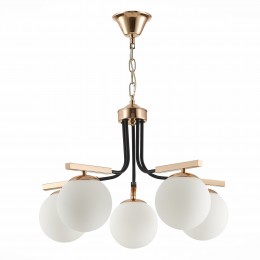 Светильник EVOLUCE SLE106803-05