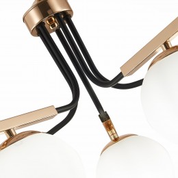 Светильник EVOLUCE SLE106803-05