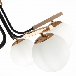 Светильник EVOLUCE SLE106803-05