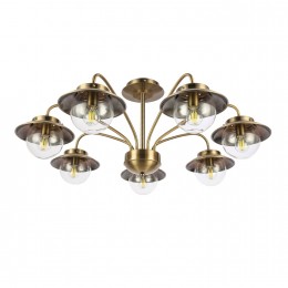 Светильник EVOLUCE SLE110102-07