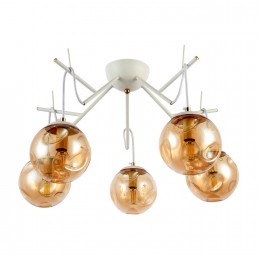 Светильник EVOLUCE SLE110202-05