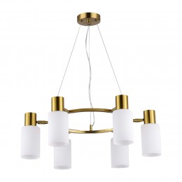 Светильник EVOLUCE SLE1139-303-06