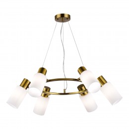 Светильник EVOLUCE SLE1139-303-06