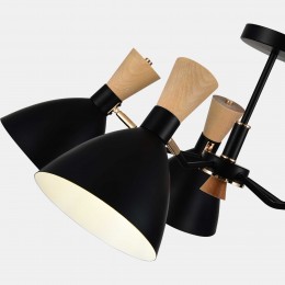 EVOLUCE SLE1256-402-05