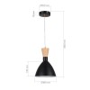 EVOLUCE SLE1256-403-01